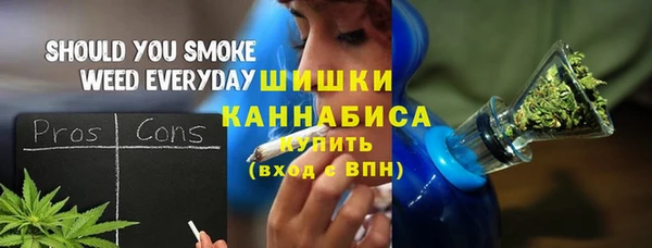 2c-b Новозыбков
