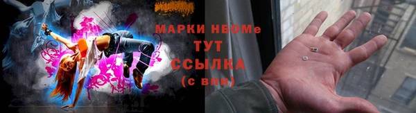 2c-b Новозыбков