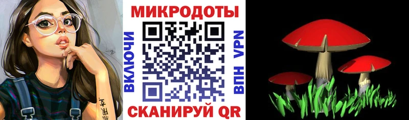 гидра ТОР  Печора  Галлюциногенные грибы Cubensis 