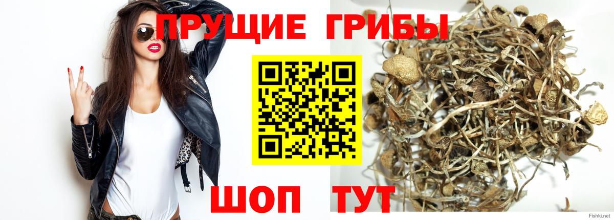Псилоцибиновые грибы прущие грибы  Вход с VPN  Псилоцибиновые грибы прущие грибы  Печора 